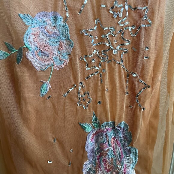 BNWT ASOS DESIGN mesh overlay embroidered florals (6) shimmer orange - Picture 8 of 8